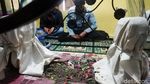 Daya Tarik Pelet Marongge di Tengah Era Digitalisasi
