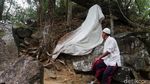 Daya Tarik Pelet Marongge di Tengah Era Digitalisasi