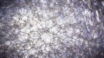 Busa sabun. Foto: Brightside