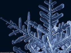 Wow! Beginilah Penampakan Benda Sehari-hari Secara Dekat