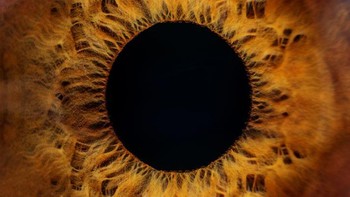 Bola mata manusia. Foto: Brightside