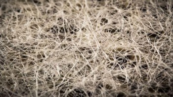 Kantong teh celup. Foto: Brightside