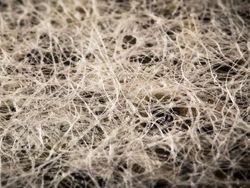 Wow! Beginilah Penampakan Benda Sehari-hari Secara Dekat