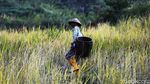 Nih Gudang Beras Bebas Rentenir, Petani Merapat!