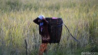Sampai tahun 2021 ini, Windri mengungkapkan baru bisa menolong 5 petani menyelesaikan utangnya kepada rentenir. Ia juga mengungkapkan alasan belum bisa menolong semuanya karena masih paralel membutuhkan modal untuk cash flow perusahaan dalam diversifikasi bisnis.
