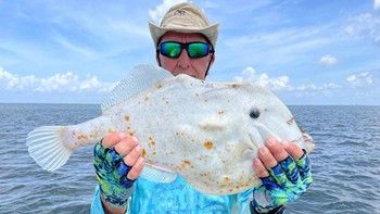 Florida Fish and Wildlife Conservation Commission (FFWCC) mengidentifikasi ikan mirip kulit roti kebab ini sebagai filefish orange dengan nama ilmiah Aluterus schoepfii. Foto: Live Science