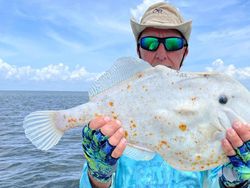 Hewan Aneh Tapi Nyata yang Mungkin Belum Pernah Kamu Lihat Seumur Hidup