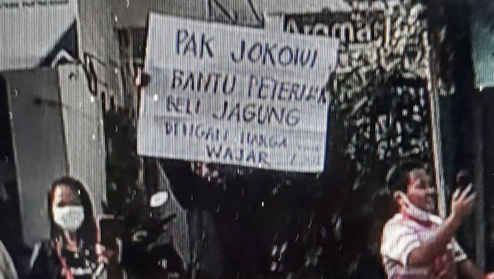 jokowi ke blitar