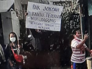 GMNI Arjuna: Protes Peternak di Blitar Tanda Ada Masalah di Harga Jagung