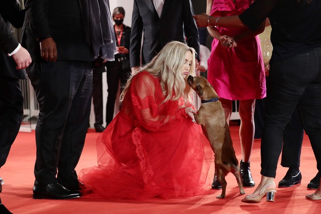 Di sela momen glamornya, Kate Hudson menyempatkan diri untuk bermain dengan anjing milik Ana. Sebuah momen unik yang jarang terjadi. (Foto: Getty Images)