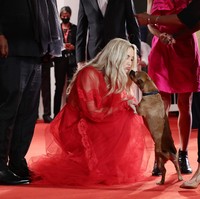 Di sela momen glamornya, Kate Hudson menyempatkan diri untuk bermain dengan anjing milik Ana. Sebuah momen unik yang jarang terjadi. (Foto: Getty Images)