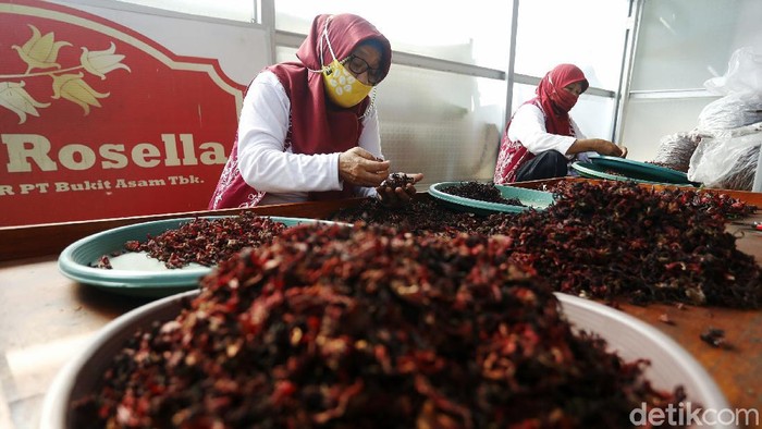 Kamu mungkin sering mencoba teh panas dengan aroma ke arah pahit, tetapi tahukan ada juga teh yang punya rasa ke arah asam. Teh tersebut berasal dari bunga Rosella. Tanaman ini banyak tumbuh di negara tropis seperti Asia Tenggara, termasuk di Indonesia. Bahkan teh dari Sumatera Selatan ini juga dipasarkan ke supermarket di Bahrain.