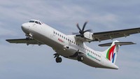 Selanjutnya, layanan Pelita Air diperluas ke penerbangan untuk VVIP, lepas pantai, evakuasi medis, operasi seismik, survei geologi, helirig, pilot helikopter untuk disewa, dukungan dan pelatihan  
