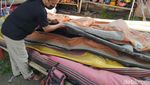 Sedih! Tak Ada Wisatawan, Perahu Rafting Sungai Elo Rusak Digigit Tikus