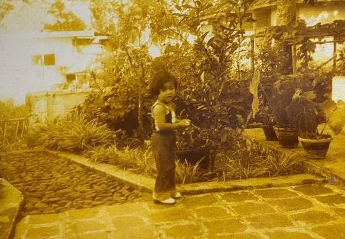 Rumah Desy Ratnasari Rumah Desy Ratnasari