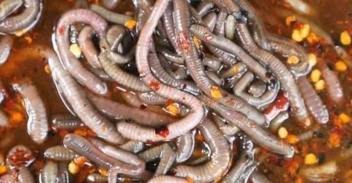 Salad Cacing Viral, Pemerintah Thailand Larang Warganya Menyantap Salad Ini Salad Cacing Viral, Pemerintah Thailand Larang Warganya Menyantap Salad Ini