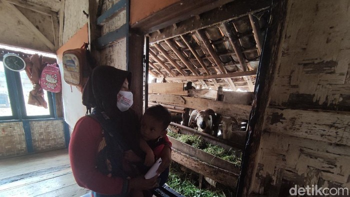 Satu keluarga di Cianjur tinggal satu atap dengan kandang kambing
