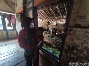 Jabar Hari Ini: Keluarga Satu Atap Bareng Kambing-Polisi Bongkar Prostitusi Online