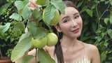 Sosialita Singapura Jamie Chua Kini Sibuk Tanam Buah dan Pelihara Ayam