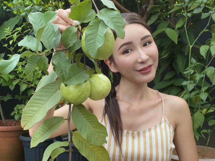 Sosialita Singapura Jamie Chua Kini Sibuk Tanam Buah dan Pelihara Ayam Sosialita Singapura Jamie Chua Kini Sibuk Tanam Buah dan Pelihara Ayam