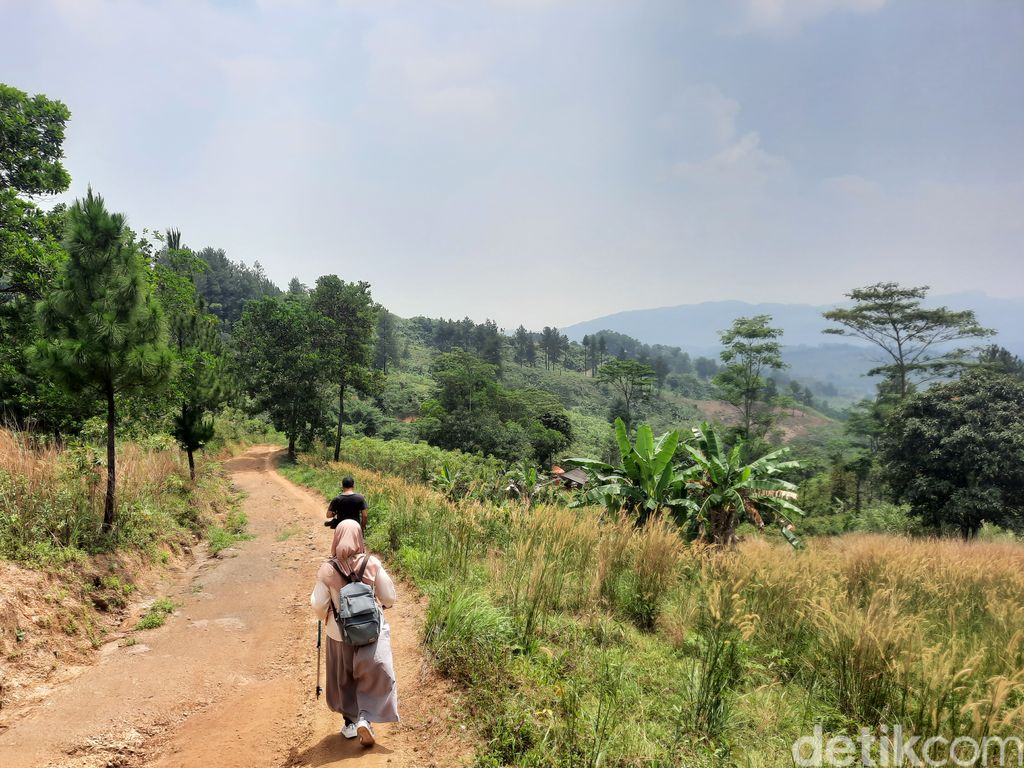 Hutan Hujan Sentul