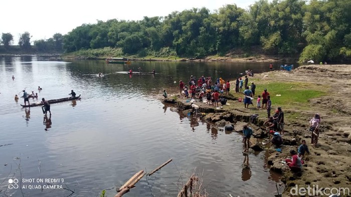 Ikan di Bengawan Solo teler gegara pencemaran ciu.