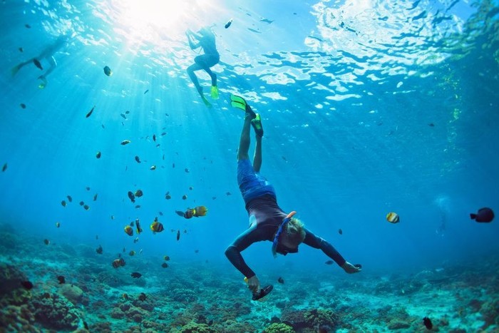 Ilustrasi diving