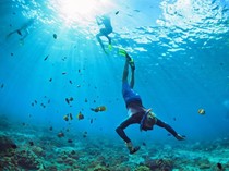 Video: Rekor Dunia Terbaru Freediving Tanpa Sirip, Capai 86 Meter!