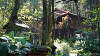 Jambuluwuk Convention Hall & Resort Puncak, Bogor juga menyediakan MICE yang mampu menampung hingga 700 orang. Soal harga, banderol harga paket vila per malam dimulai dari Rp 3,2-8,5 juta.