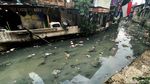 Jorok! Kali Jati Bunder Tanah Abang Dipenuhi Sampah