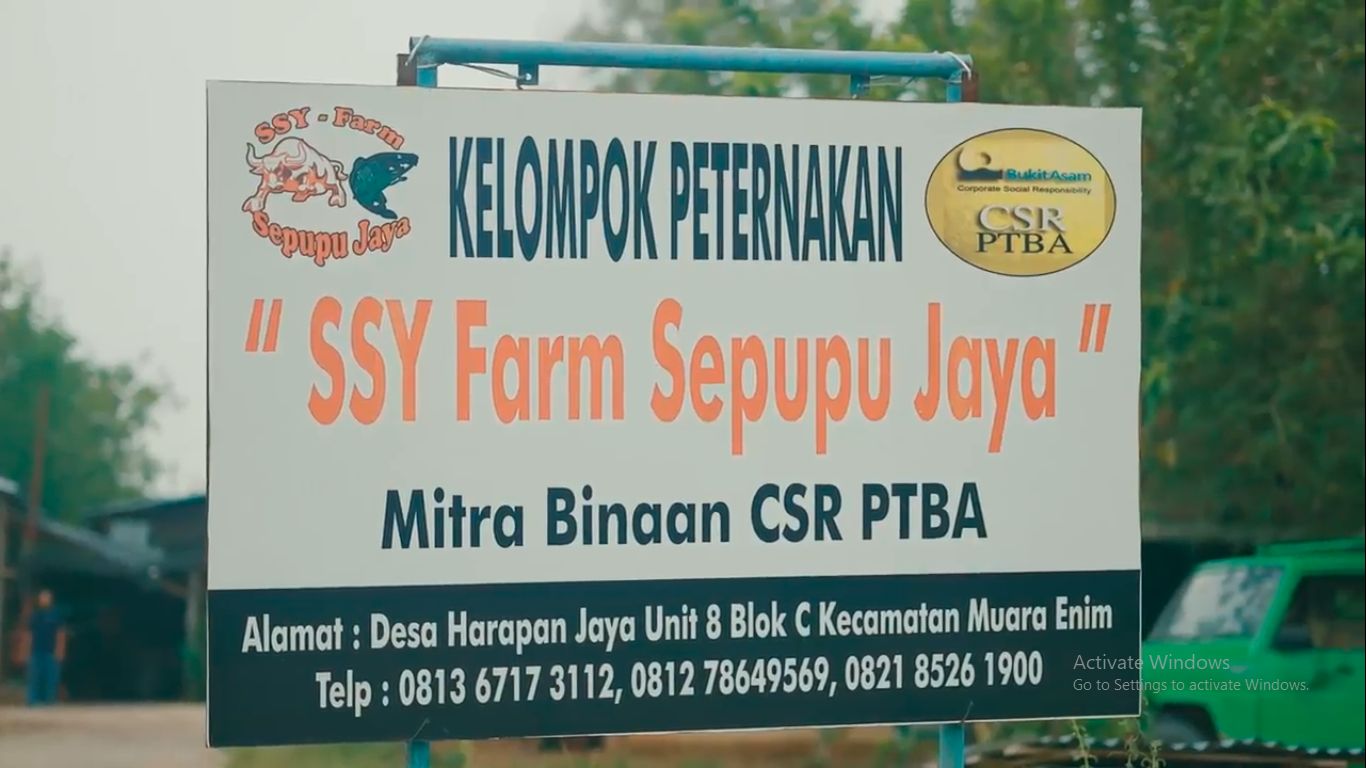 Kelompok Peternakan SSY Farm