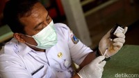 Kegiatan sterilisasi hewan peliharaan itu diselenggarakan secara gratis.