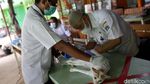 Melihat Proses Sterilisasi Hewan Peliharaan di Jakarta