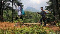 Selama penjalanan anda akan disajikan pemandangan yang menyejukkan.