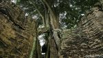 Cobain, Yuk! Menapakkan Kaki ke Gua Garunggang di Sentul