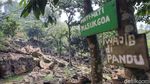 Cobain, Yuk! Menapakkan Kaki ke Gua Garunggang di Sentul