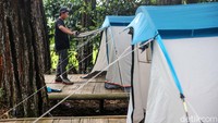 Anda juga bisa berkemah di hutan ini.