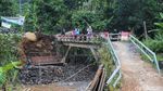 Menjelajahi Hutan Hujan Sentul