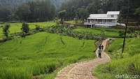 Sama seperti namanya, trekking di Hutan Hujan Sentul menawarkan sensasi perjalanan menjelajahi hutan sembari membakar kalori.