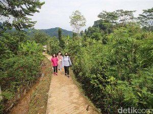 4 Rekomendasi Tempat Wisata Sejuk dan Sepi Dekat Jakarta