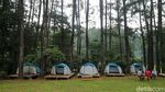 Menjelajahi Hutan Hujan Sentul