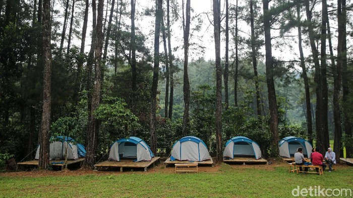 Hutan Hujan Sentul menjadi alternatif warga untuk mengisi akhir pekan. Anda akan diajak trekking dengan pemandangan hamparan sawah dan hijaunya Hutan Pinus.