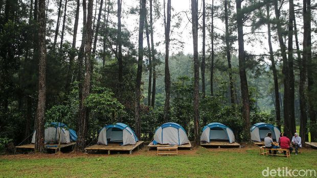 Hutan Hujan Sentul menjadi alternatif warga untuk mengisi akhir pekan. Anda akan diajak trekking dengan pemandangan hamparan sawah dan hijaunya Hutan Pinus.