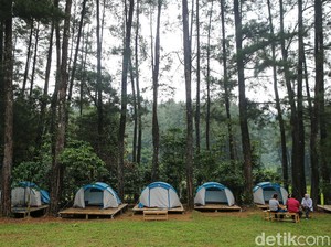Selain Puncak, Ini 7 Tempat Wisata Alam yang Seru Sekitar Jakarta