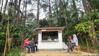 Berbagai kegiatan dapat dilakukan di hutan ini, bersepeda di dalam hutan, menikmati hijaunya tanaman padi dan kebun bunga, menikmati makanan dari resto Lumbung Padi.