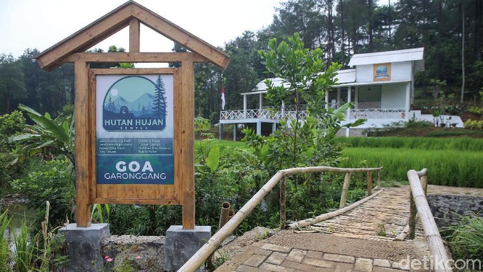 Hutan Hujan Sentul menjadi alternatif warga untuk mengisi akhir pekan. Anda akan diajak trekking dengan pemandangan hamparan sawah dan hijaunya Hutan Pinus.