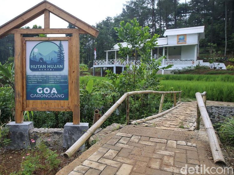 Menjelajahi Hutan Hujan Sentul