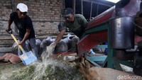 Selain itu, pakan limbah sawit cukup total 5% pakan dalam berat badan sapi jika dibanding rumput yang membutuhkan 10-15%. Pembuatan pakan fermentasi ini juga lebih efektif dari segi waktu karena bisa disimpan. Hal itu berbeda dengan rumput yang harus diambil setiap hari.