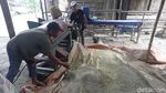 Olah Limbah Sawit Jadi Pakan Sapi, Peternak Ini Makin Cuan