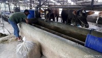 Sebagai informasi, pemberian CSR dari PTBA kepada SSY Farm Sepupu Jaya ini merupakan bagian program mendukung circular economy dan ketahanan pangan di area ring 1 anggota holding anggota holding industri pertambangan Indonesia atau Mining Industry Indonesia (MIND ID) di Tanjung Enim.  